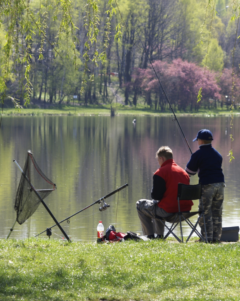 What are the best places to go fishing in Germany?