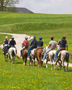 Read more about the article What are the best places to go horseback riding in Germany?