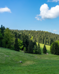 Read more about the article What are the best places to visit in the Thuringian Forest?